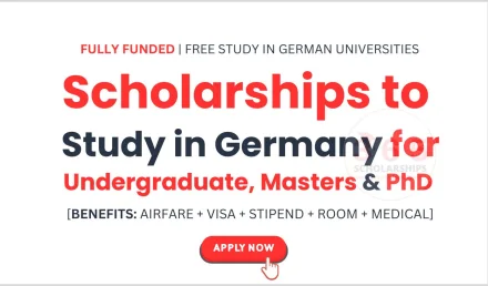 Scholarships to Study in Germany for Undergraduate, Masters & PhD
