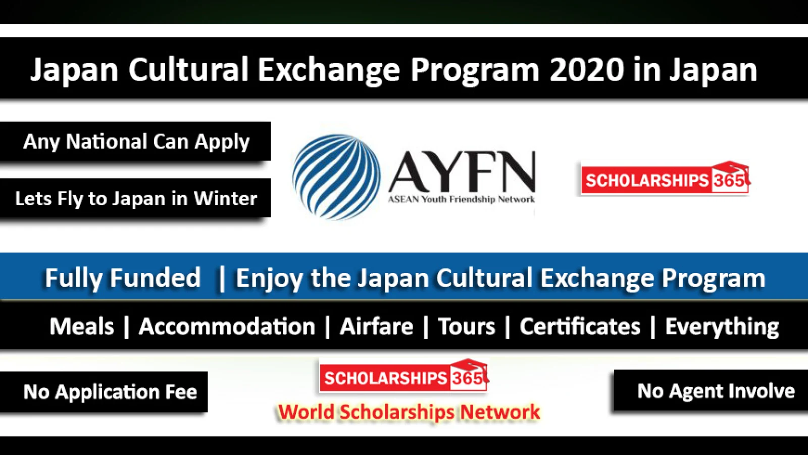 Japan Cultural Exchange Program 2020 in Winter - Fully Funded