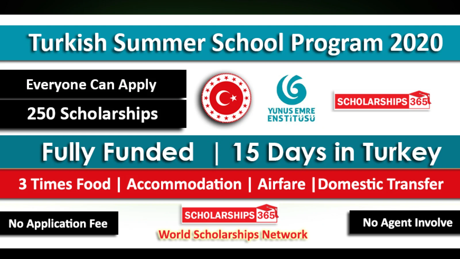 Turkish Summer School Program 2020 Fully Funded - Yunus Emre Institute Turkey