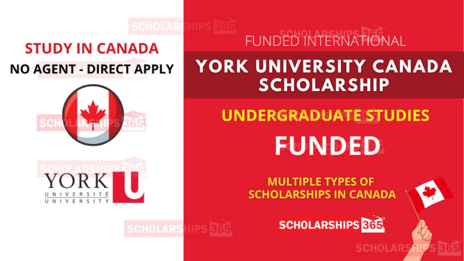 York University Canada Scholarship 2022 | Study in Canada