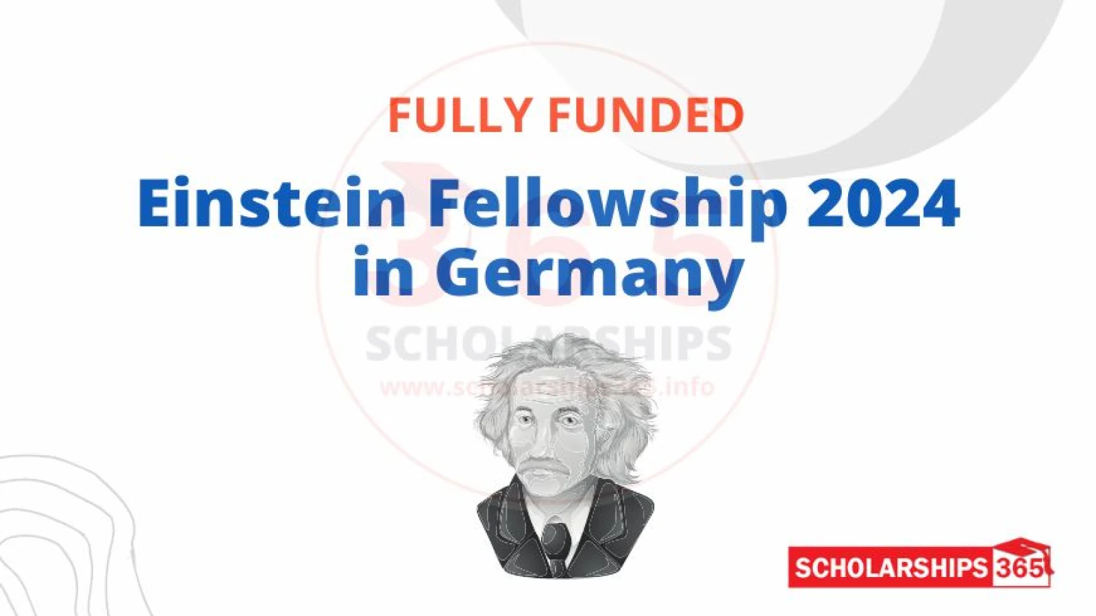 Einstein Fellowship 2024 in Germany - Fully Funded