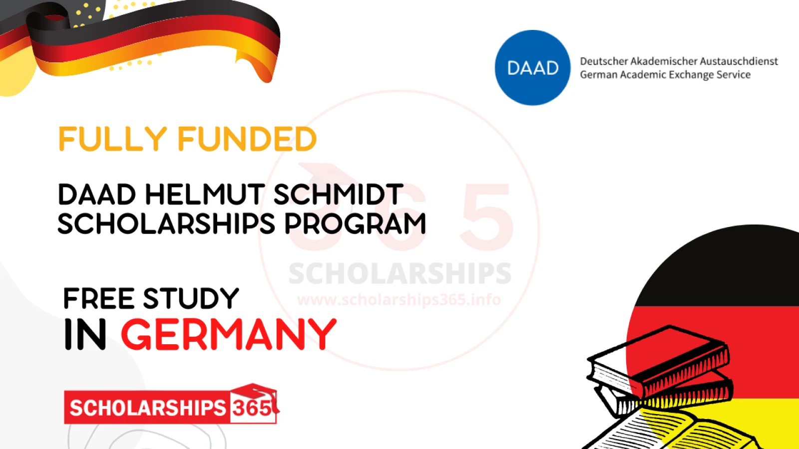 DAAD Helmut Schmidt Scholarships Program 2025 in Germany - Fully Funded