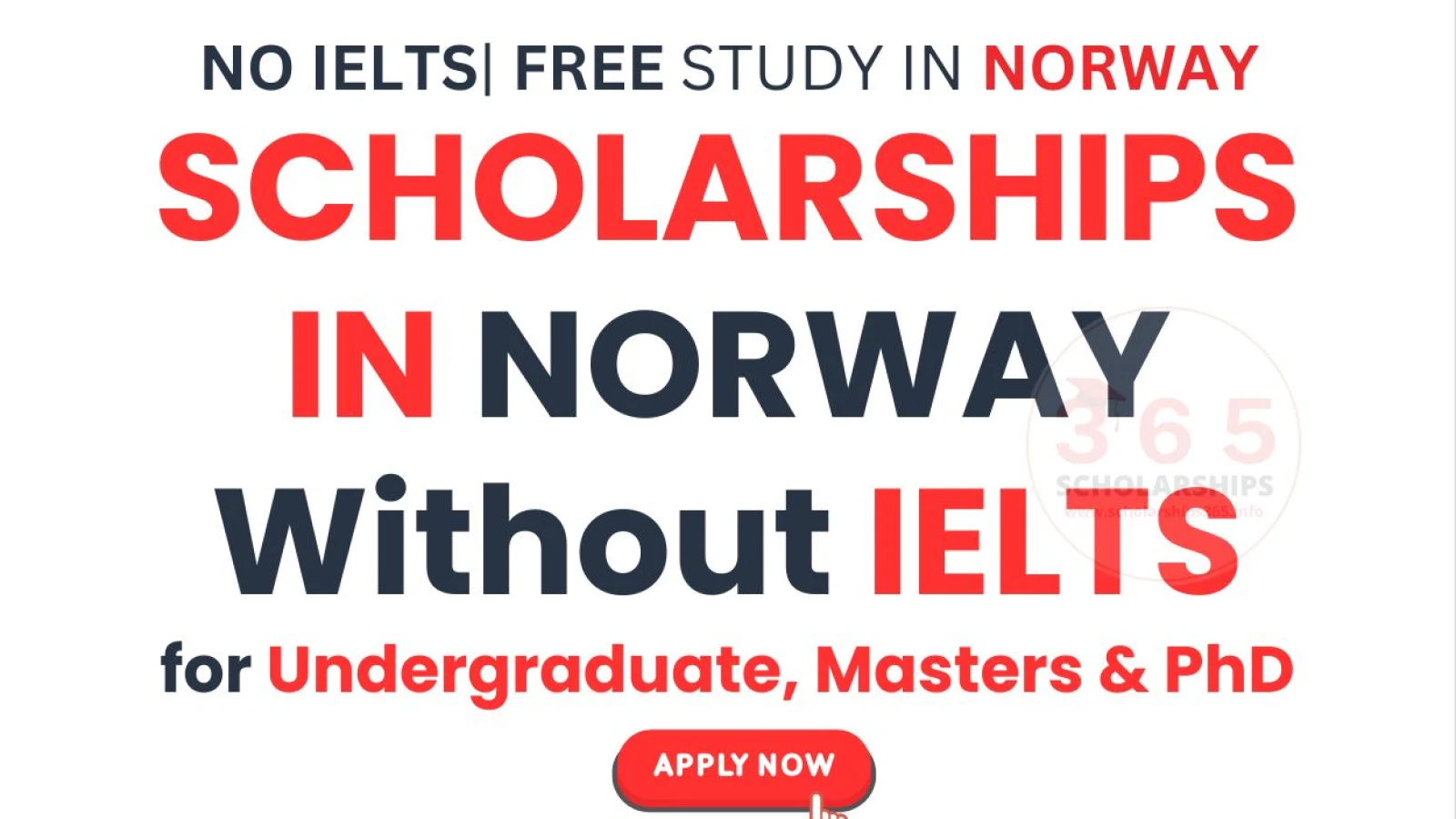 Scholarships in Norway 2026-2027 Without IELTS: Study in Norway Guide