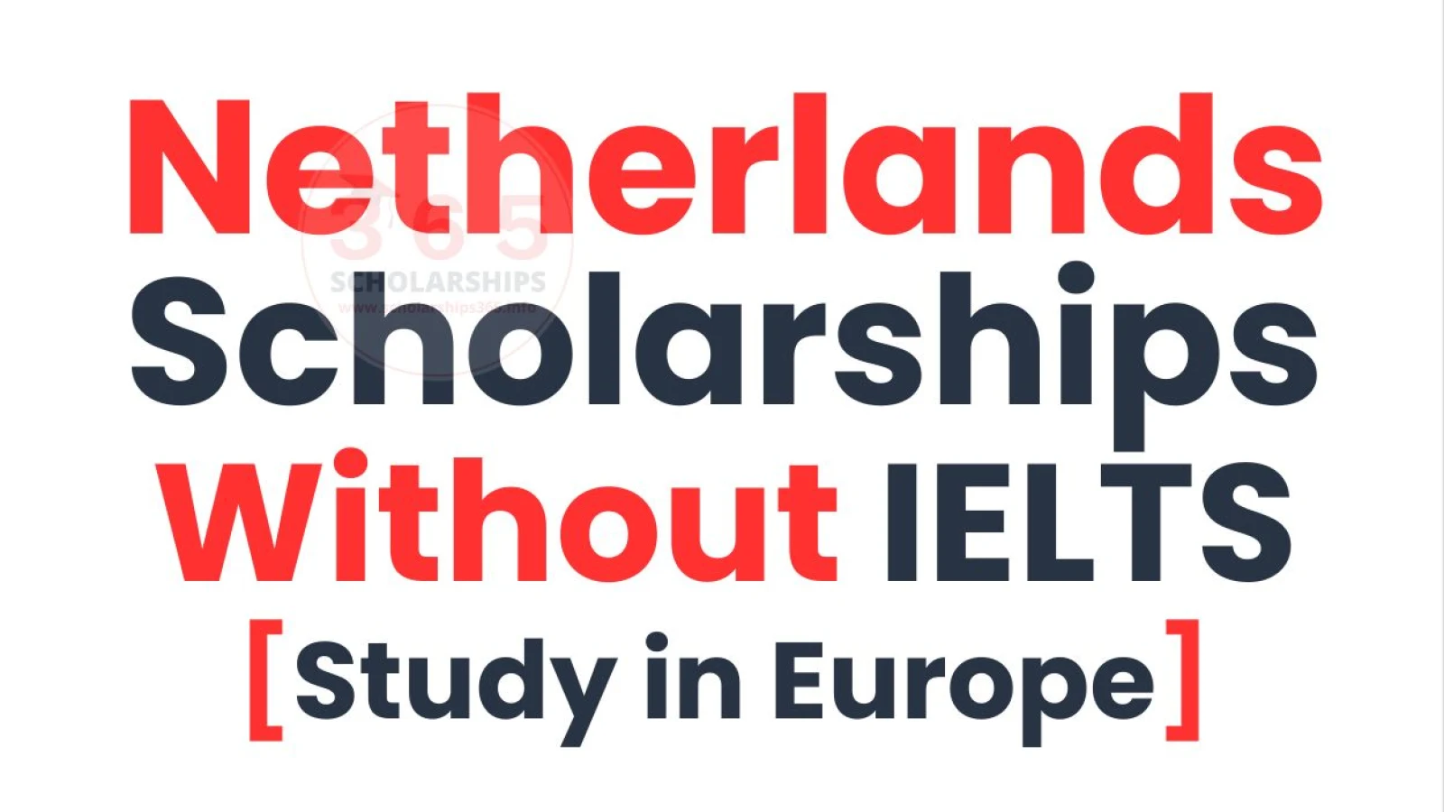 Netherlands Scholarships Without IELTS 2026-2027 | Study in Europe