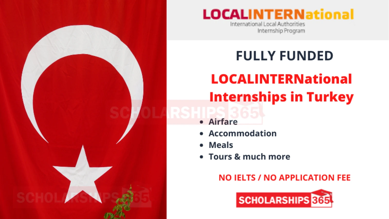 International Local Authorities Internship 2023 in Turkey | Fully Funded