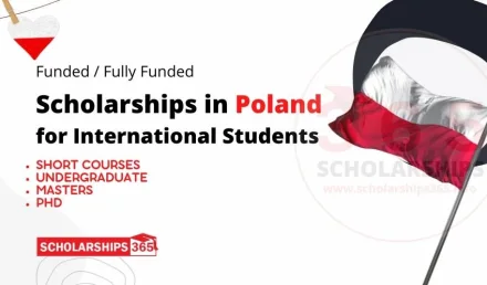 10 Best Poland Scholarships 2026-2027 in Polish Universities | Study in Poland, Europe