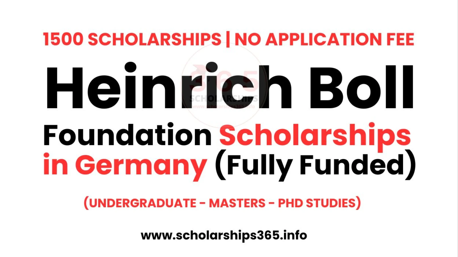Heinrich Boll Foundation Scholarships 2026 (Fully Funded)