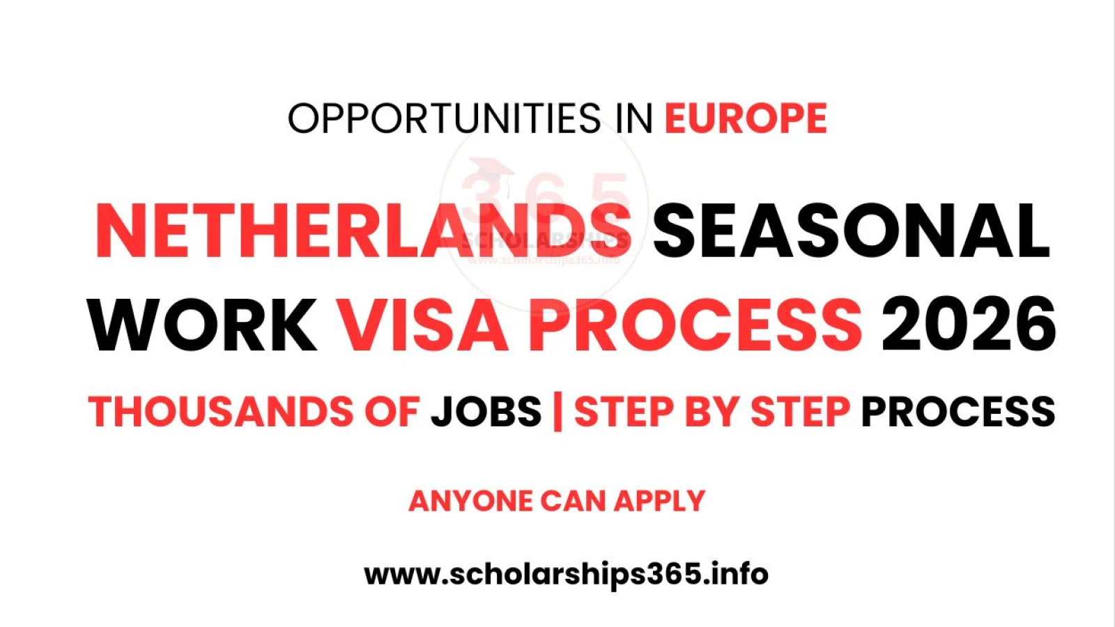 Netherlands Seasonal Work Visa Process 2026 | Complete Guidelines