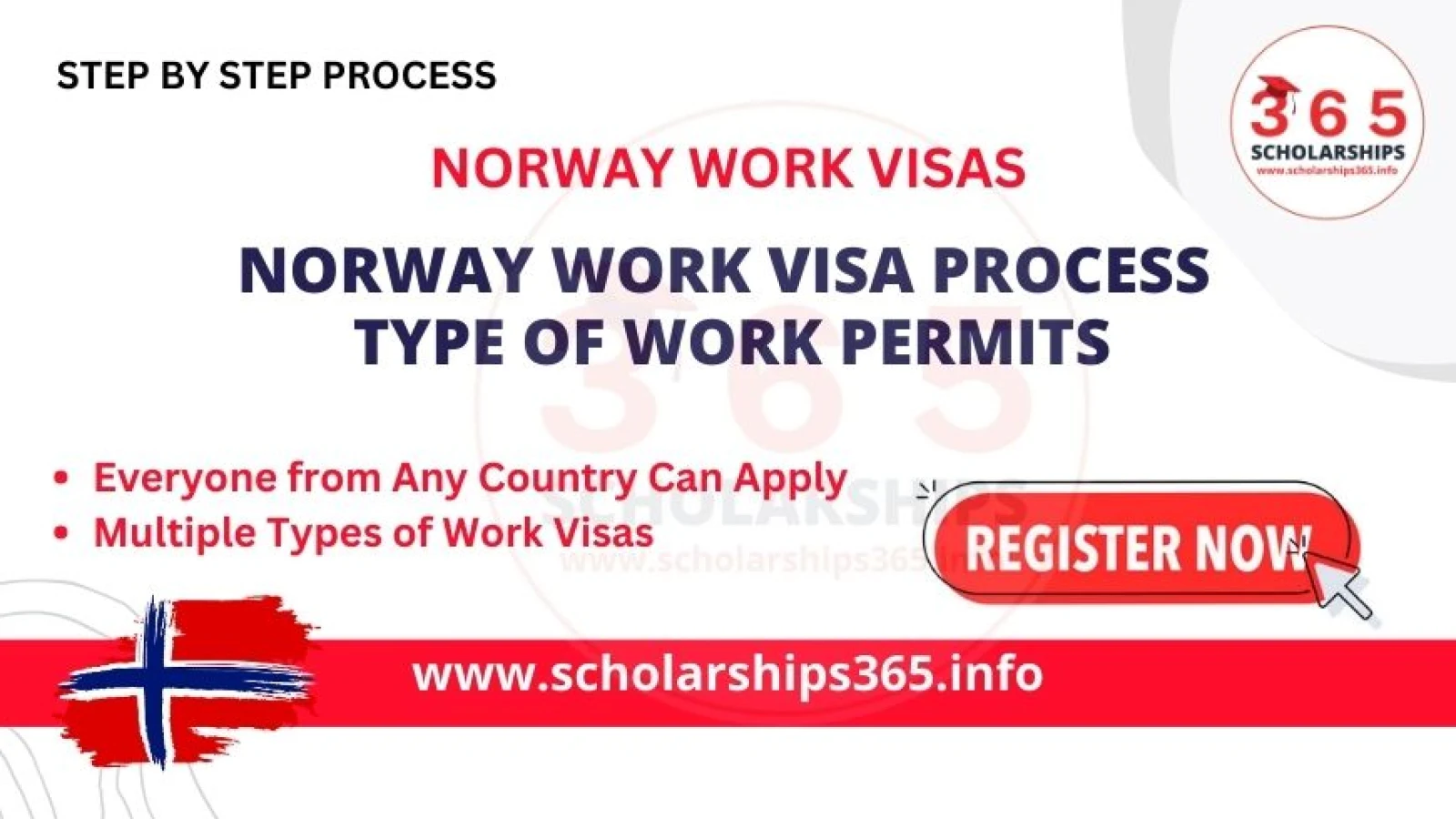Norway Work Visa Process 2025 - Types of Work Permits