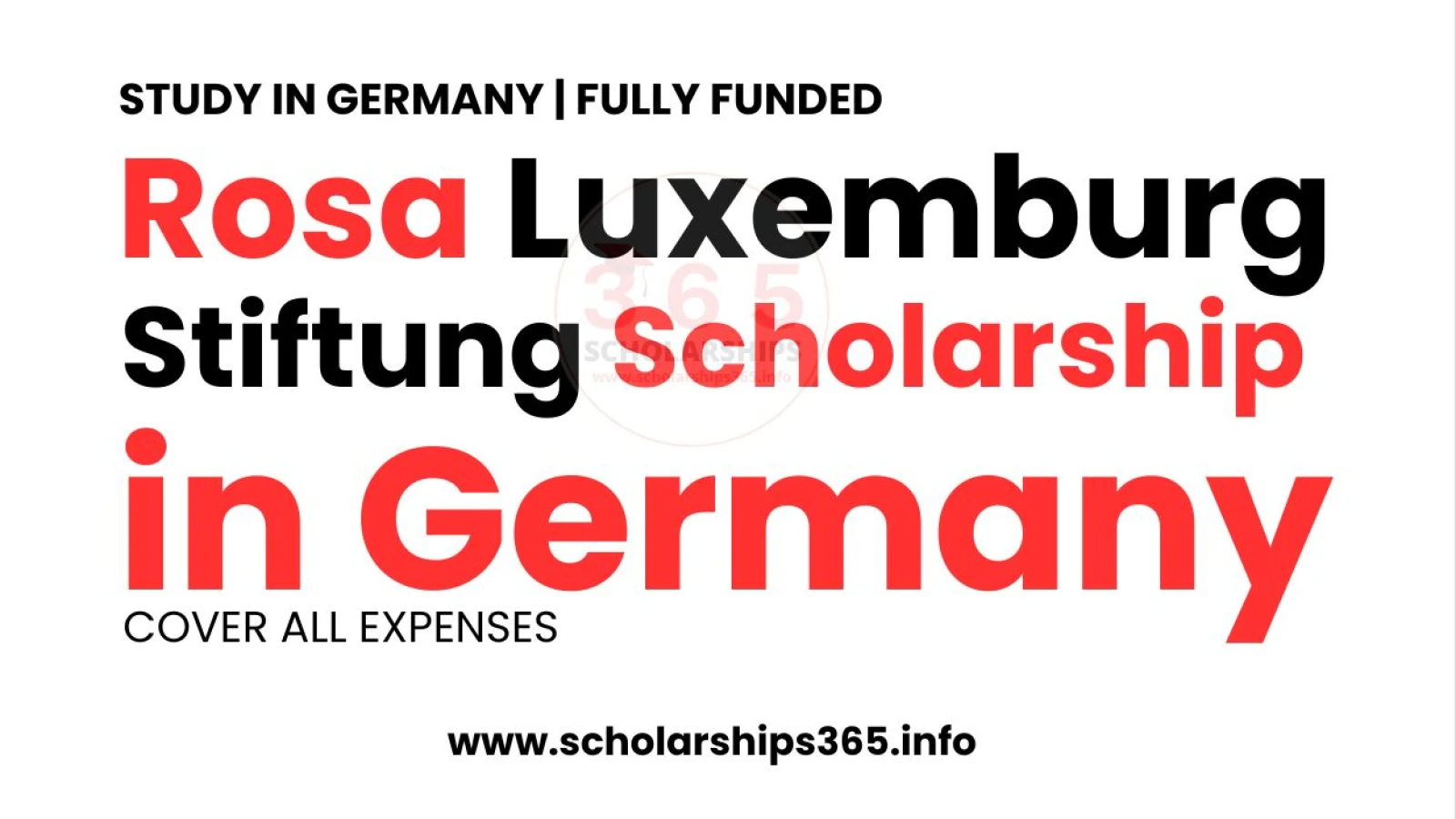 Rosa Luxemburg Stiftung Scholarship 2027 in Germany [Fully Funded]
