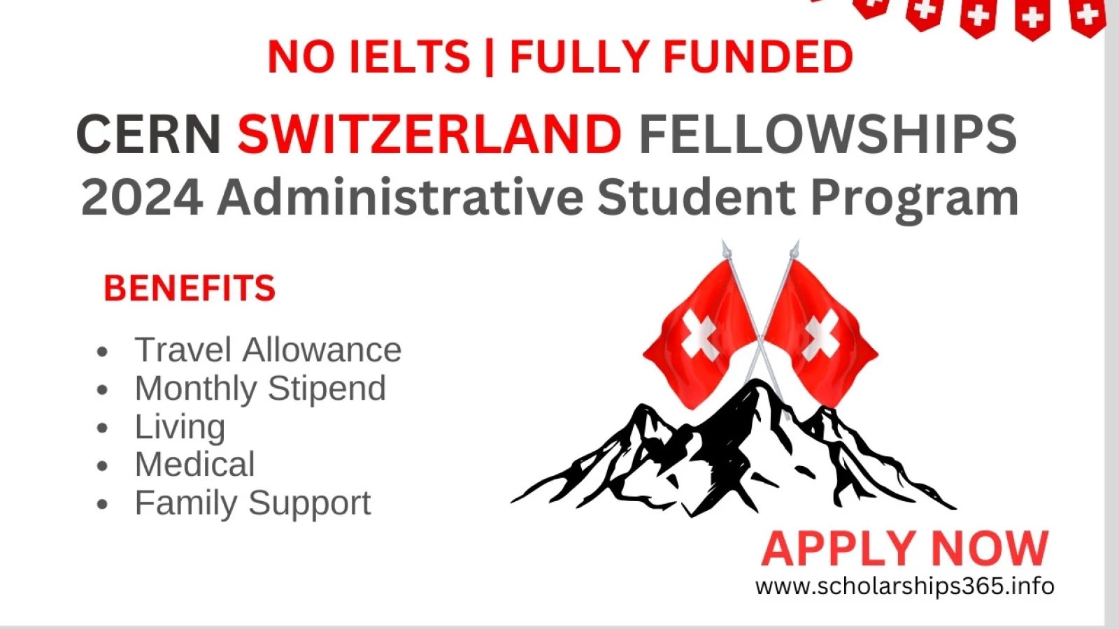 CERN Administrative Student Fellowship Program 2024 in Switzerland | Fully Funded