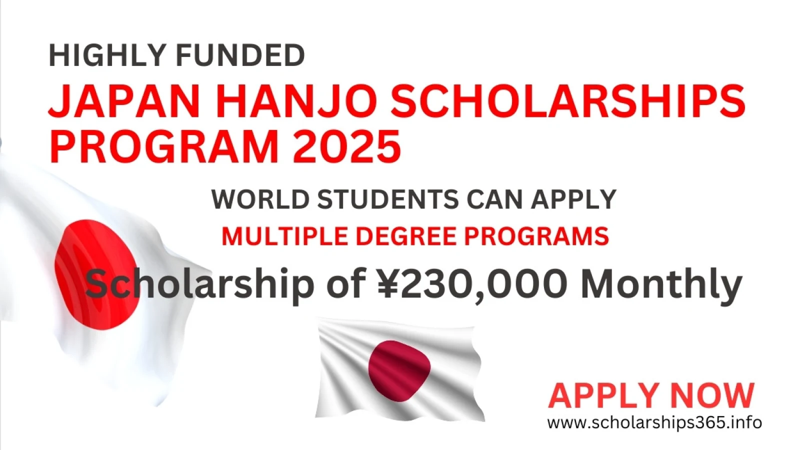 Japan Hanjo Foundation Scholarships 2025 | Highly Funded Scholarship in Japan]