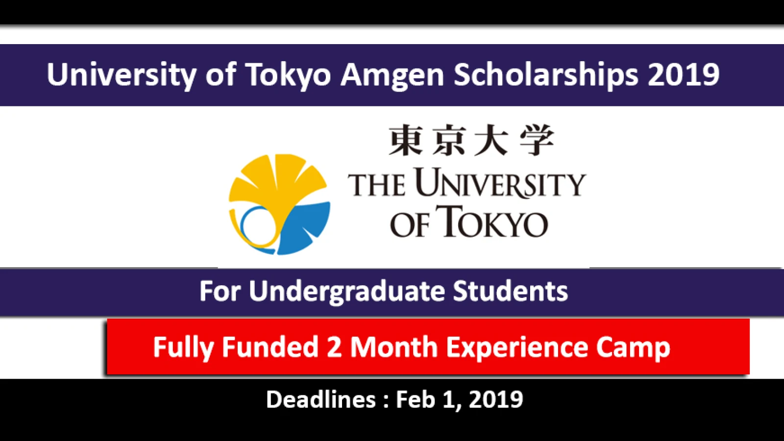University of Tokyo Scholars Program 2019 for Undergraduate Studies