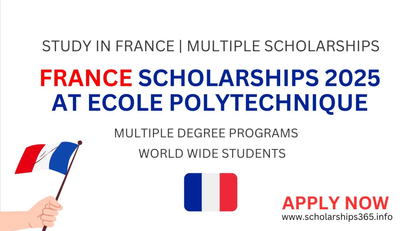 France Scholarships 2025 at Ecole Polytechnique | Study in Europe